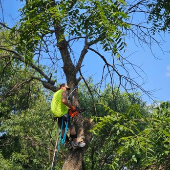 Hubbards Tree Service - Tree Services Near Me - Centertown, Missouri Hubbards Tree Service - Tree Services Near Me - Centertown, Missouri