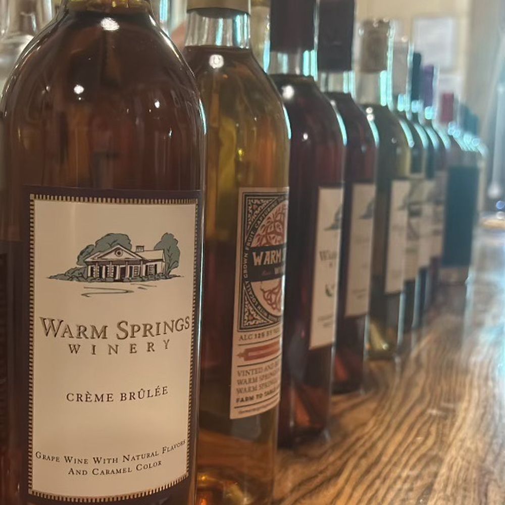 Warm Springs Cellars - Wine Tasting Room Near Me - Warm Springs, Georgia