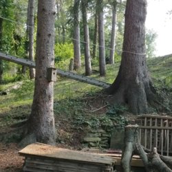 Knicely Outdoor Services - A customers private oasis tree house with natural vegetation left ,no more brush vines or poison ivy left