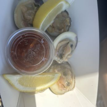 Bennett Shellfish - Clams on the half shell - A white container holds several raw oysters on the half shell, accompanied by lemon wedges and a small cup of cocktail sauce. The oysters are arranged with the lemon wedges placed on top and beside the shells, and the cocktail sauce is in a clear plastic cup. The image is taken from above, showing the seafood presentation. - Seafood Near Me - Montauk, New York