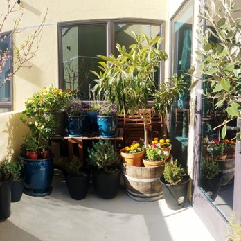 Armstrong Garden Centers - My husband has the green thumb & I definitely don't. I'm grateful Armstrong associate Kamal took his time to explain what each plant needed. - Nurseries & Gardening Near Me - Newport Beach, California