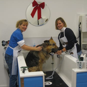 Bark 'N Bubbles - Pet Groomers Near Me - Fairfax, Virginia