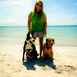 Beach Pupps - Sam and Bella on a beach trip