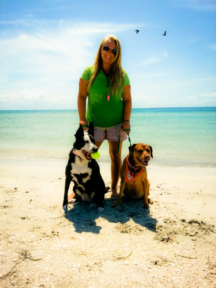 Beach Pupps Image