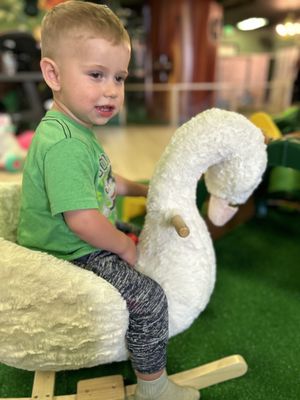 ENCHANTED ELK GROVE - Updated January 2026 - 151 Photos & 95 Verified