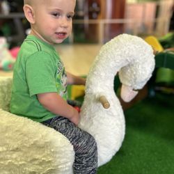 Enchanted Elk Grove - Swan rocker