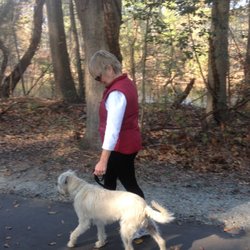Randy Pennell Dog Training