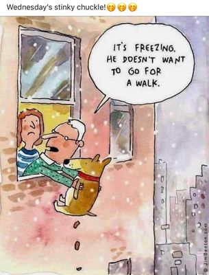 Chessie's Restaurant by null