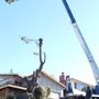 Photo of Sandborn Tree Service