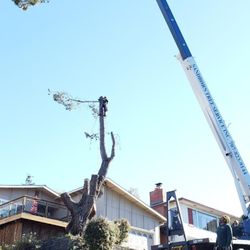Sandborn Tree Service