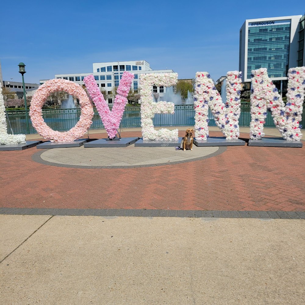 CITY CENTER Updated July 2024 66 Photos 16 Reviews 11815