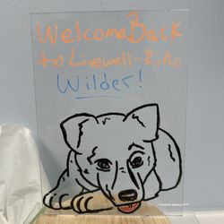 Livewell Animal Hospital of RiNo