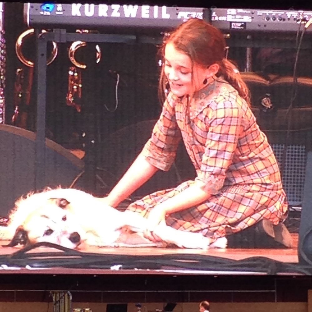 Jay Pritzker Pavilion - Preview of "Annie," Annie with Sandy the Dog. - Music Venues Near Me - Chicago, Illinois Jay Pritzker Pavilion - Preview of "Annie," Annie with Sandy the Dog. - Music Venues Near Me - Chicago, Illinois