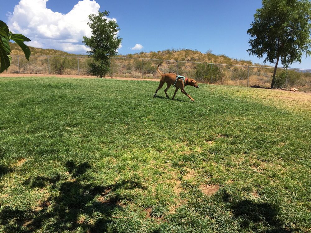 HURRICANE CITY DOG PARK Updated September 2024 11 Photos 781