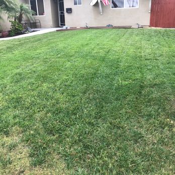 Benavides Gardening - Front yard - Landscaping Near Me Benavides Gardening - Front yard - Landscaping Near Me