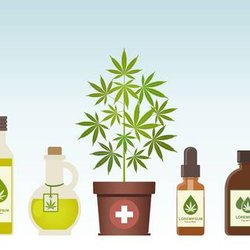 HighPoint Hemp