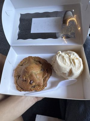 Fit for a Cookie by null