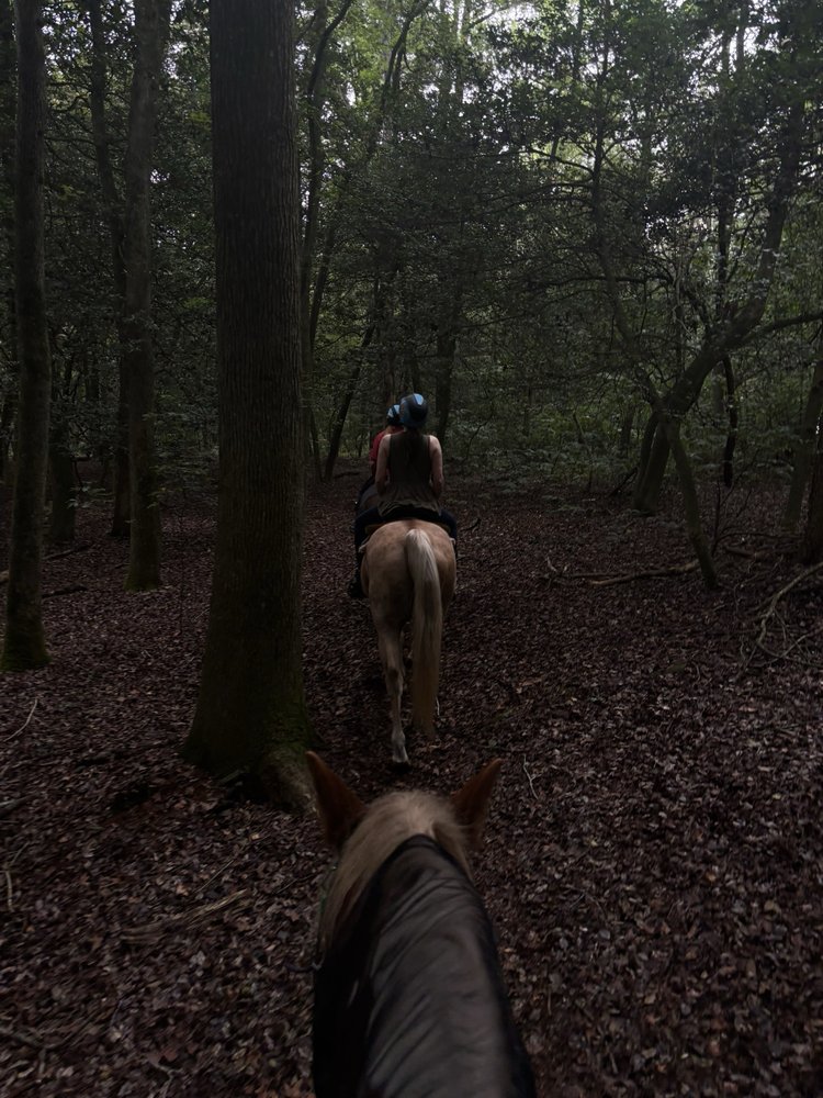 Holly Ridge Farm Equestrian Center - equestrian in Willards, MD