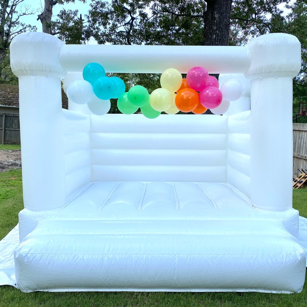 HOUSTON ENTERTAINMENT Houston, Mississippi Bounce House Rentals