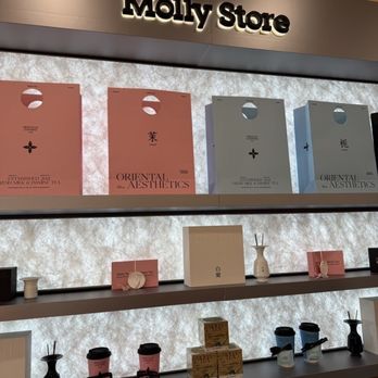 Molly Tea - Inside | IG: xstina.eats - Bubble Tea Near Me - Sunnyvale, California