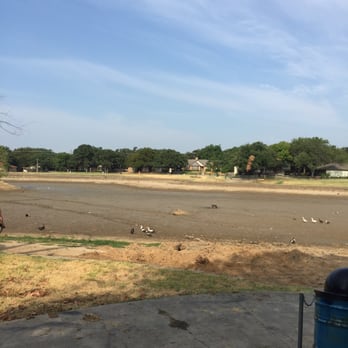 Boys Ranch Park And Activity Center - Ducks, turtles, geese, and other birds in the now drained pond. - Parks Near Me - Bedford, Texas