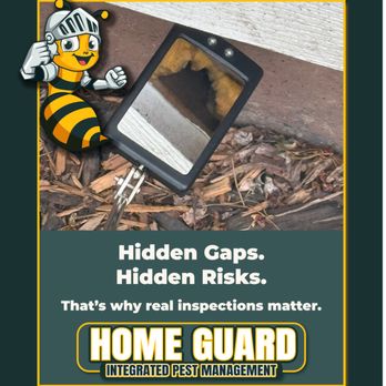 Home Guard IPM - A homeowner in Centerburg that had just had another pest control company out had a side door into his home he didn't even know about. - Pest Control Near Me Home Guard IPM - A homeowner in Centerburg that had just had another pest control company out had a side door into his home he didn't even know about. - Pest Control Near Me