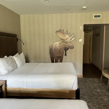 Moose Hotel & Suites - Hotels Near Me - Banff, Alberta Moose Hotel & Suites - Hotels Near Me - Banff, Alberta