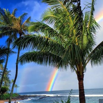 Napili Sunset - Hotels Near Me - Lahaina, Hawaii