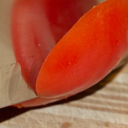 Mt Airy Sharp - Knife slicing a tomato.