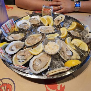 Cajun Bay Seafood & Bar - Oysters on the half shell - Seafood Near Me - Forney, Texas Cajun Bay Seafood & Bar - Oysters on the half shell - Seafood Near Me - Forney, Texas