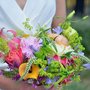 Photo of Succulent Florists