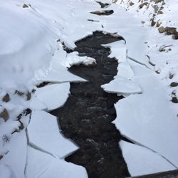 Bear Trax Adventures