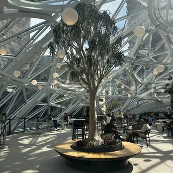 Amazon Spheres - Botanical Gardens Near Me - Seattle, Washington Amazon Spheres - Botanical Gardens Near Me - Seattle, Washington