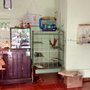 Photo of Green Peek'