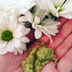 Cora Beauty - Spa - Waxing - Our house made Green Tea Matcha Mint Scrub