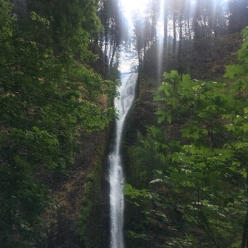 Horsetail Falls - Hiking Near Me - Cascade Locks, Oregon Horsetail Falls - Hiking Near Me - Cascade Locks, Oregon