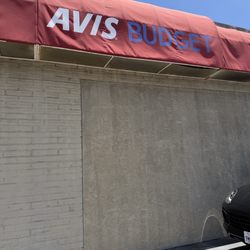 Avis