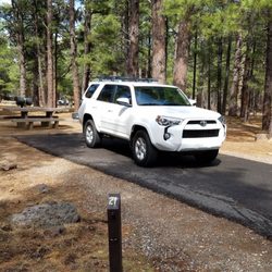 Pinegrove campground - Site 21