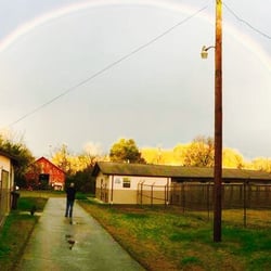 Meadowbrooke Kennel - Our peaceful country kennel with a gorgeous rainbow over it!