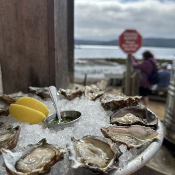 Hog Island Oyster - Oysters - Seafood Near Me - Marshall, California