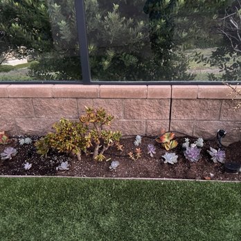 Pablo's Landscape Services - Succulent garden wall - Tree Services Near Me - San Marcos, California Pablo's Landscape Services - Succulent garden wall - Tree Services Near Me - San Marcos, California