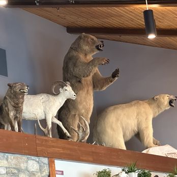 Chop House Alaska - Alaska Wildlife - Steakhouses Near Me - Wasilla, Alaska