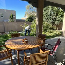 Blossom the next day - quick, neat, professional service.