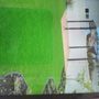 Photo of RM1 Yard & Landscaping Services