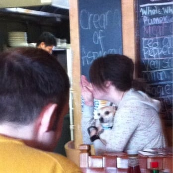 Kate's Kitchen - Dear Kates, I love you, but don't ever want to see a dog inside again. - Breakfast & Brunch Near Me - San Francisco, California