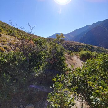 Millcreek Canyon - Sunrise - Hiking Near Me - Millcreek, Utah