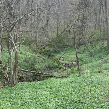 Tyler Arboretum - A view on the red trail - Summer Camps Near Me - Media, Pennsylvania