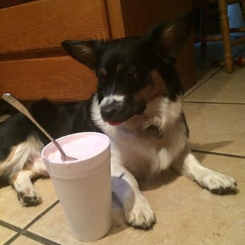 Yogurt Mill - XL SIZE for around $6! Soo worth it! Even my doggy wants some :) - Ice Cream & Frozen Yogurt Near Me - Modesto, California Yogurt Mill - XL SIZE for around $6! Soo worth it! Even my doggy wants some :) - Ice Cream & Frozen Yogurt Near Me - Modesto, California