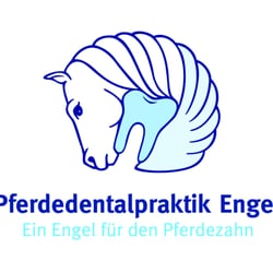 Pferdedentalpraktik-Engel