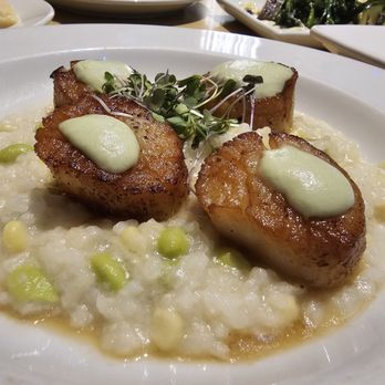 Yoshi's - Close-up of the Hotate Edamame Risotto - Jazz & Blues Near Me - Oakland, California
